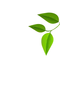 Most Hygienic Chicken in Kerala