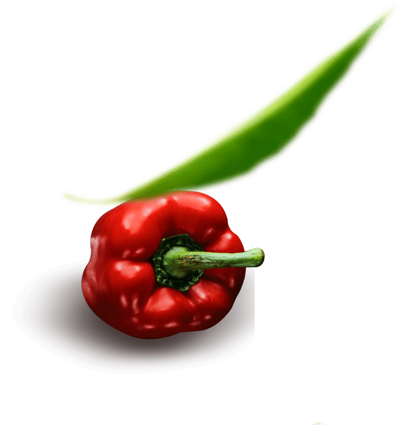 friska website image elements